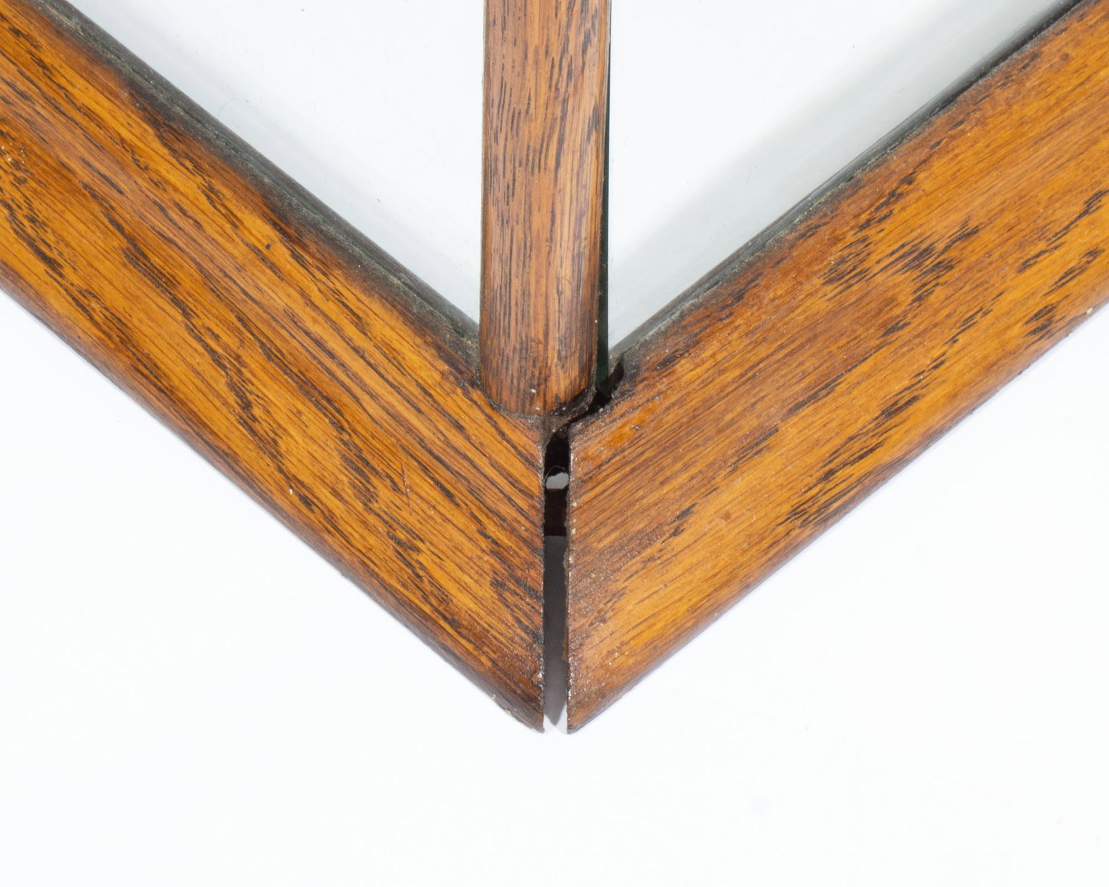 Antique Collar Display Case with Collars - 7