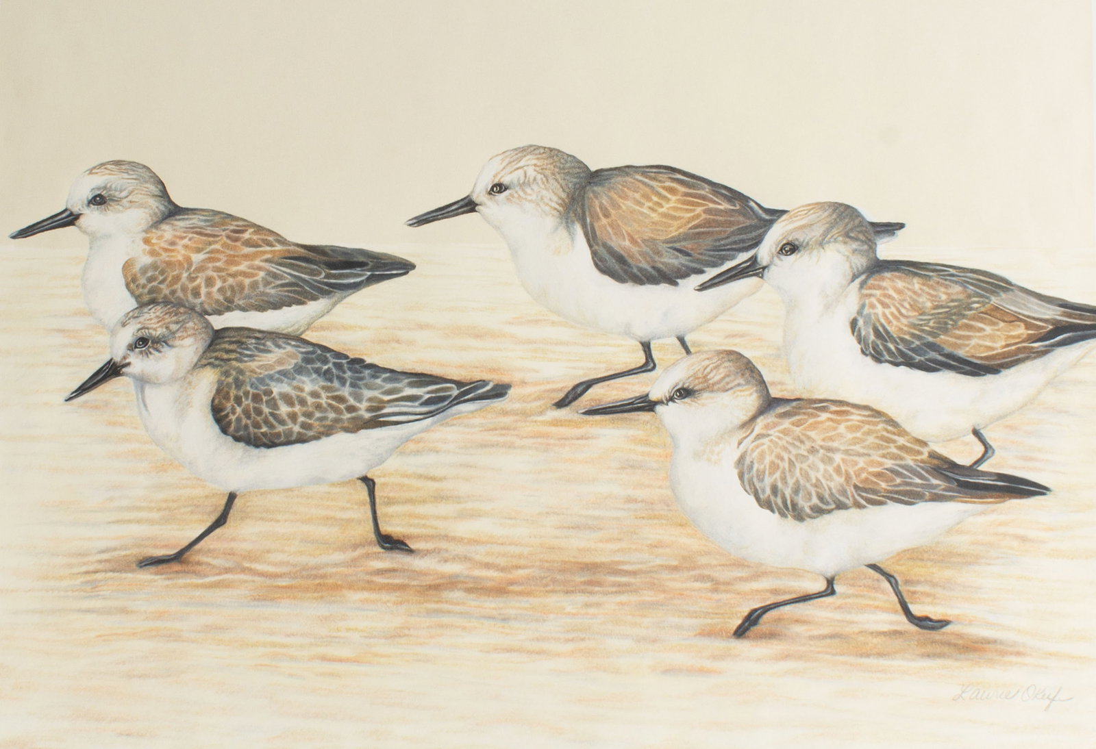 Laurie O'Keefe Crayon Drawing of Sanderlings: Crayon drawing of sanderlings by Laurie O'Keefe (American; 20th/21st century). Signed lower right. Measurements: 24" W x 18" H (sheet). In house shipping available. 