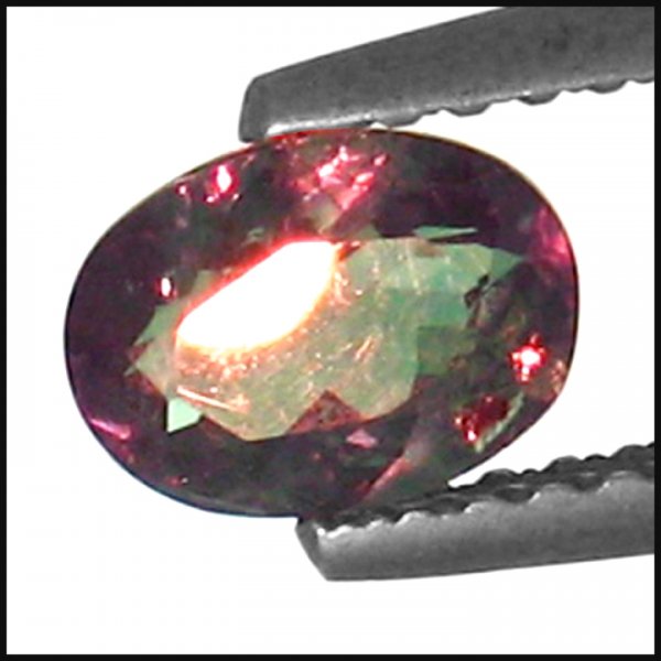 .69cts~WorldMuseum Gem~colorchange Alexanrite: STONE NAME : ALEXANDRITE , LOT NO : ALX626- 13 (588) , Quantity: 1PCS , WEIGHT CTS : 0.69CTS , SIZE : 6.2 X 4.5 X 2.6 MM , COLOR : Color change , SHAPE : OVAL , CLARITY : VVS , ORIGIN : MARVELOUS , LU