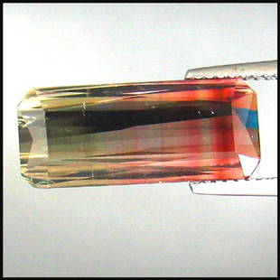 9.47cts~ Bicolor tourmaline ~ Flawless: STONE NAME : Bi -Color Tourmaline , LOT NO : BI0256 - 3 (1591) Quantity: 1PCS , WEIGHT CTS : 9.47 CTS , SIZE : 18.4 X 7.8 X 6 MM , COLOR : PINK AND GREEN , SHAPE : OCTAGON , CLARITY : VVS , ORIGIN : A