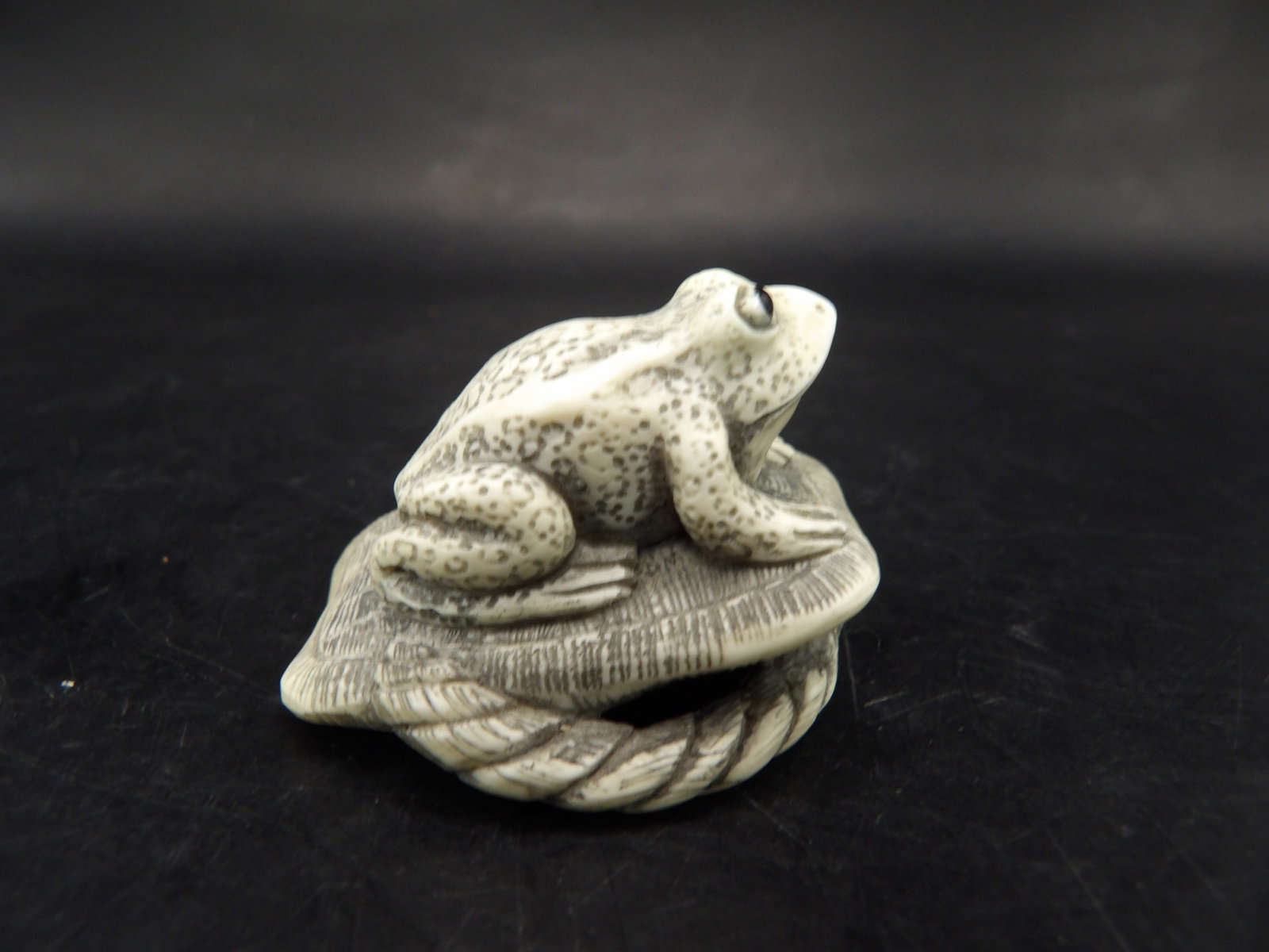 Japanese netsuke fine frog carving signed on the bottom - No Export: 1.5 inches length.