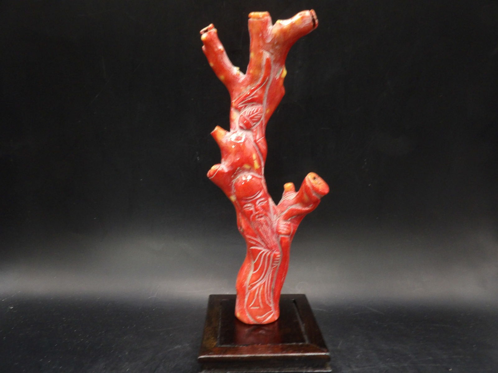 Chinese carved coral Longevity God statue with wooden base over 7 inches height: 7.3 inches height not including wooden base.