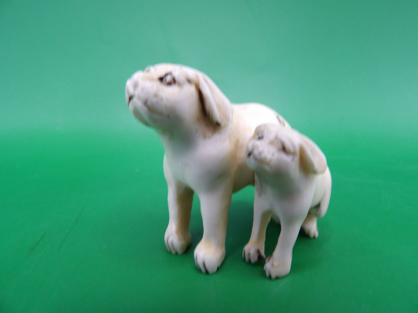 Very fine Japanese netsuke 2 dogs carving (1 of 6)