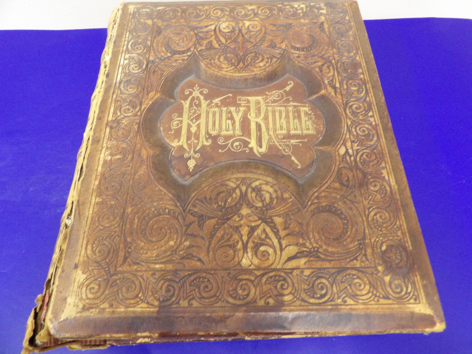 antique Holly Bible dated 1885 National Publishing Company Old and New Testatments (1 of 14)