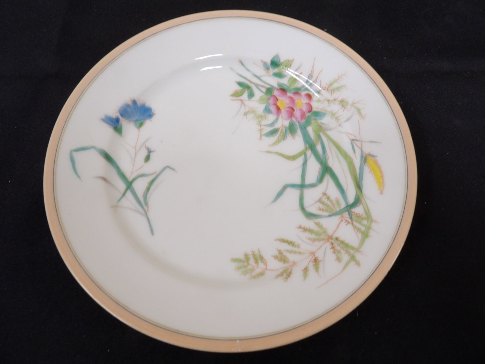 fine Limoges porcelain plate with hand painted floral motif and pink rim: 7.3 inches diameter. We will inhouse ship items to you very affordable and efficient. Select self-arrange shipping.