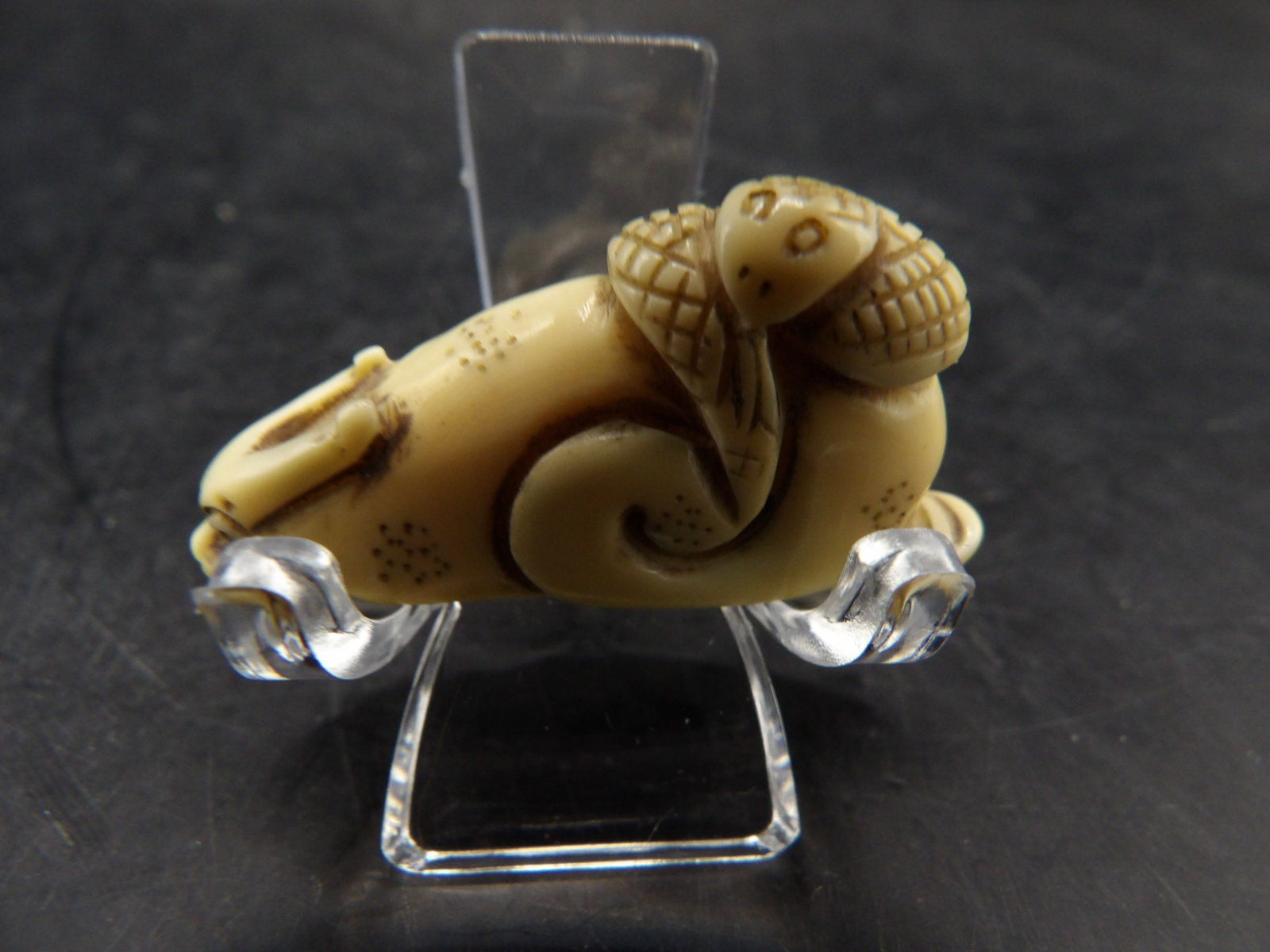 antique Japanese bone netsuke carved snake on rabbit: 1.5 inches length.