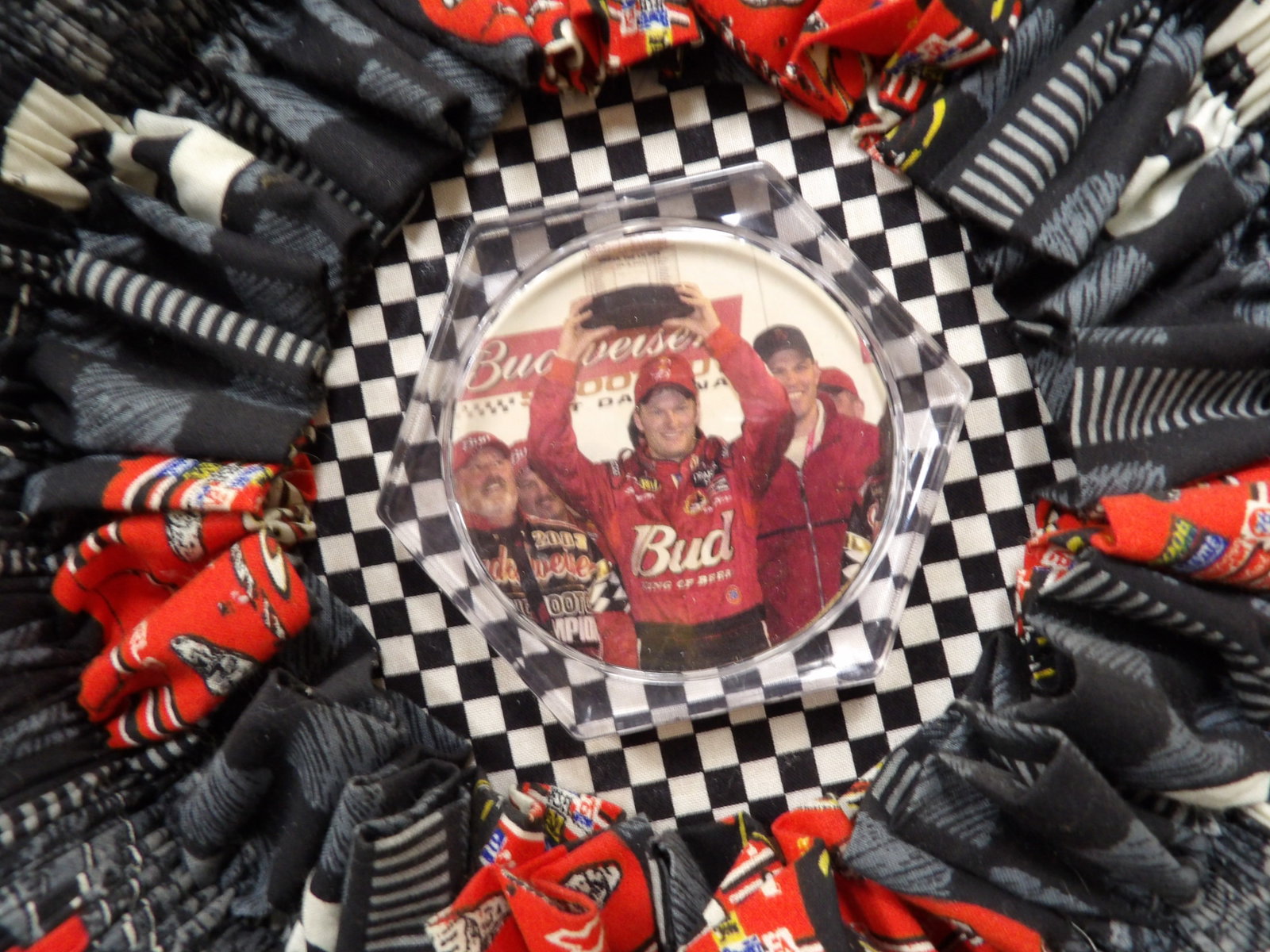 Earnhardt Jr Nascar wall hanging - 2