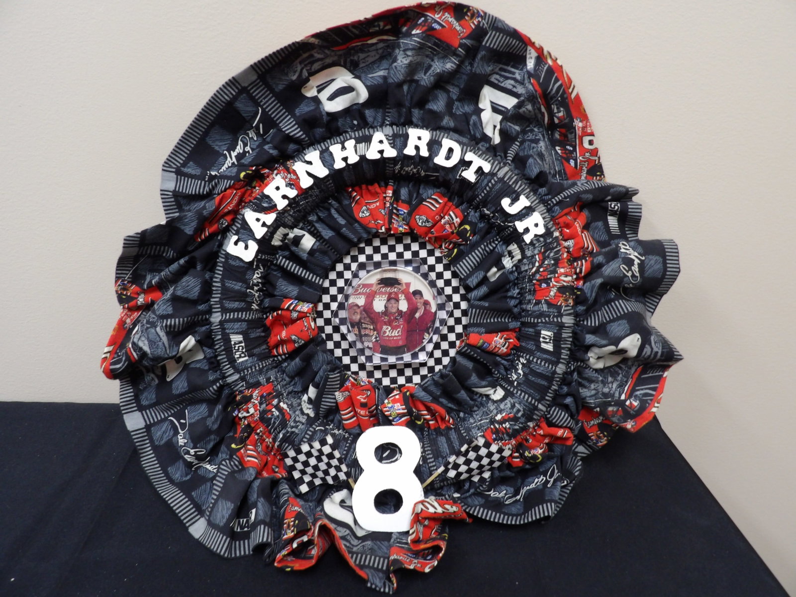 Earnhardt Jr Nascar wall hanging - 5