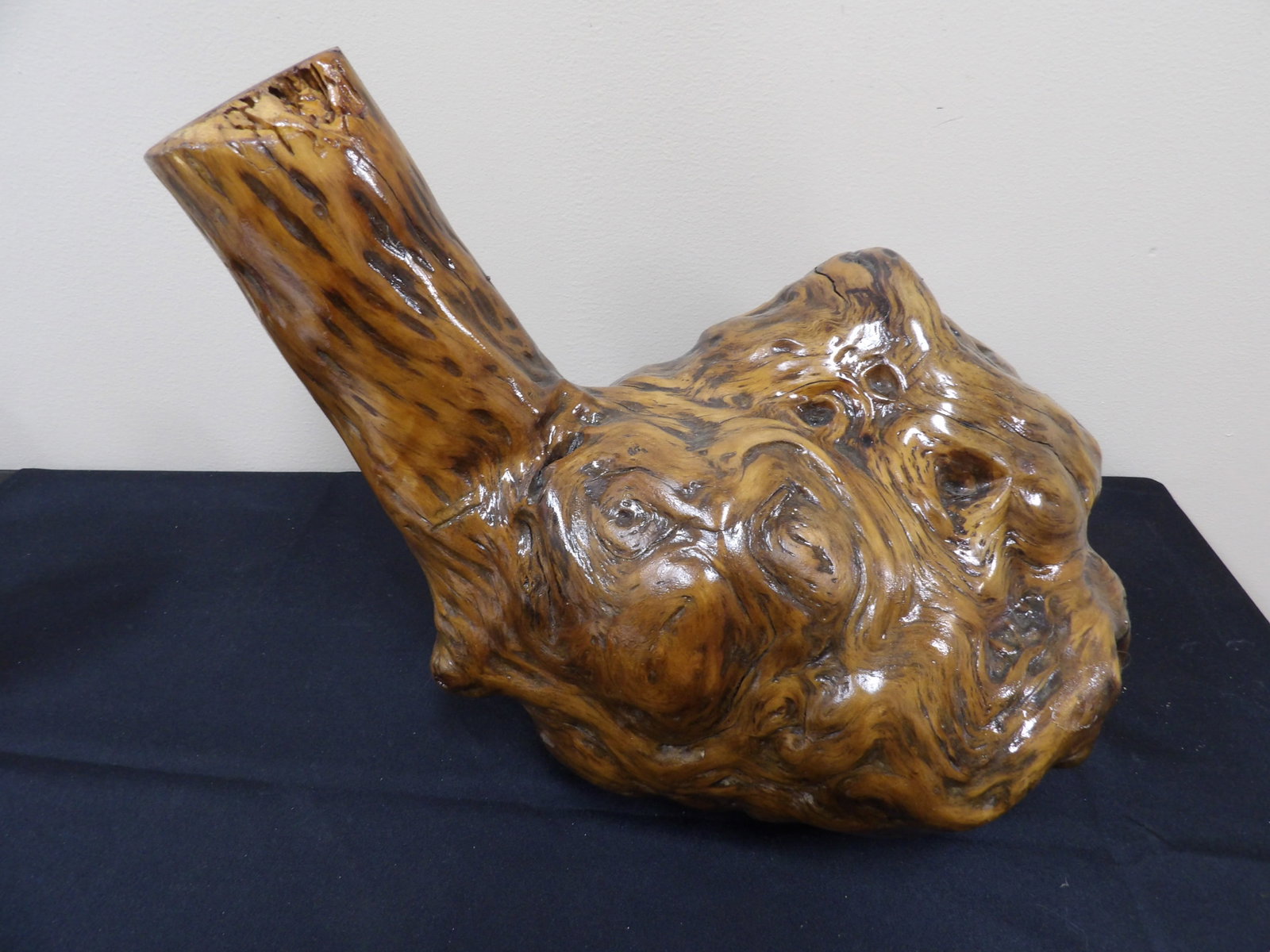 natural wood burl sculpture with abstract organic form: 15 inches length.