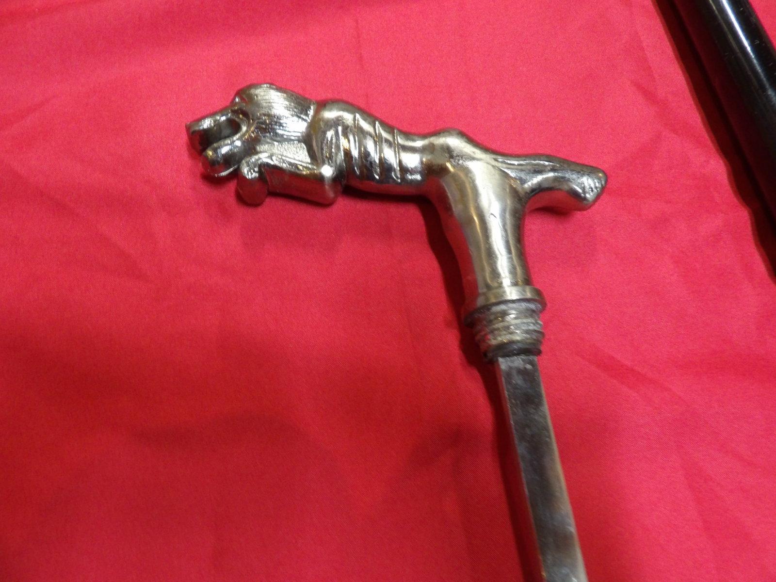 Jaguar handle sword cane - 2