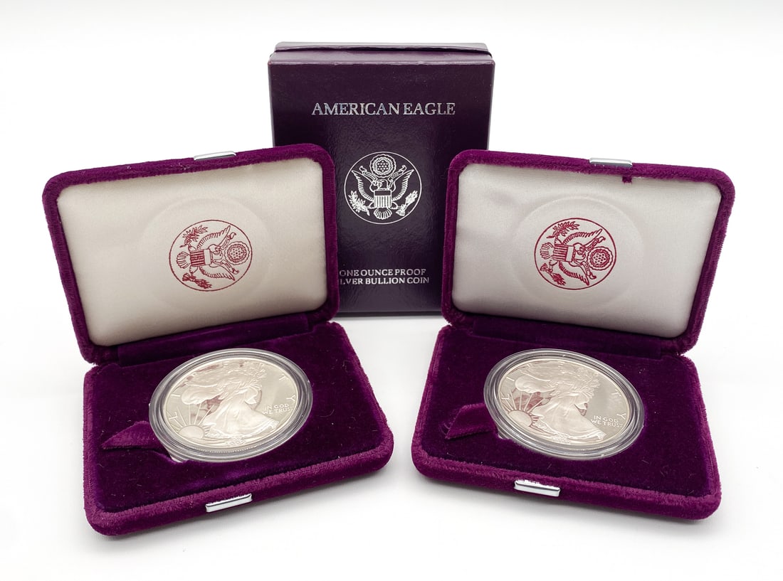 Two American Eagle 1992 Silver Bullion Coins (1 of 1)
