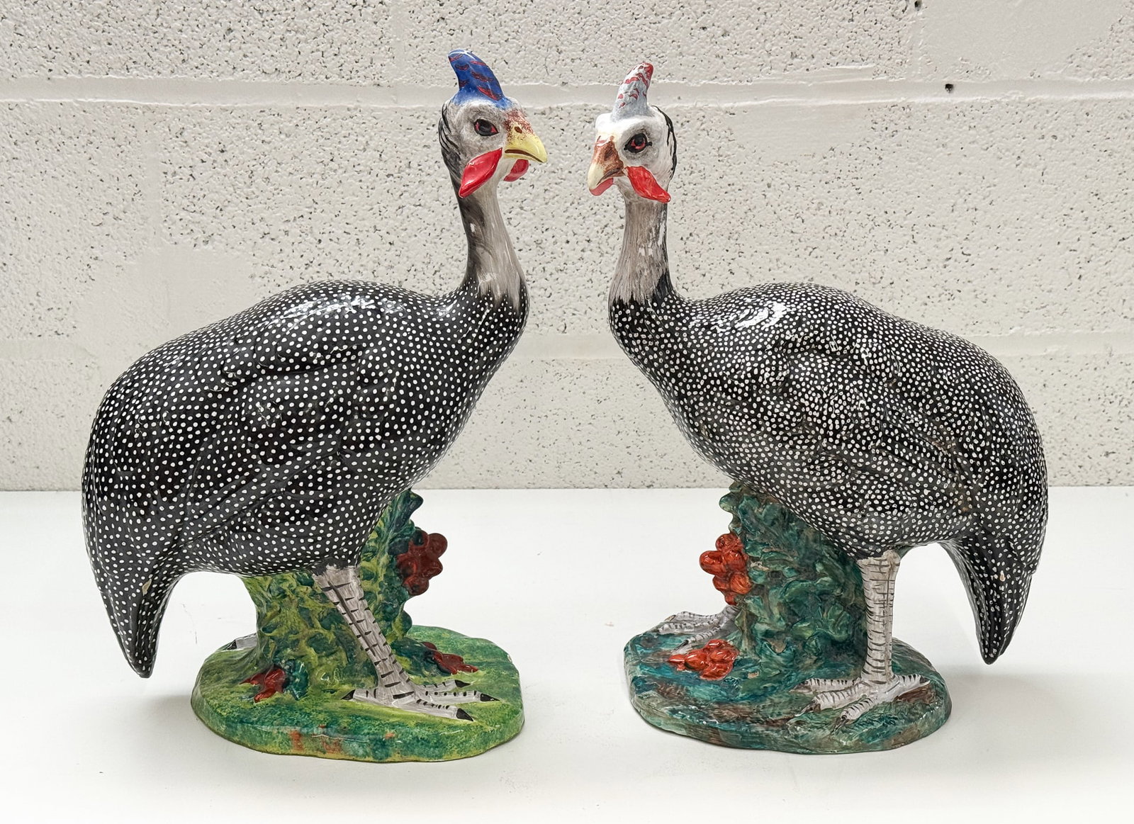 Pair Italian Guinea Hens (1 of 5)