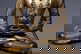 item-209100566=3