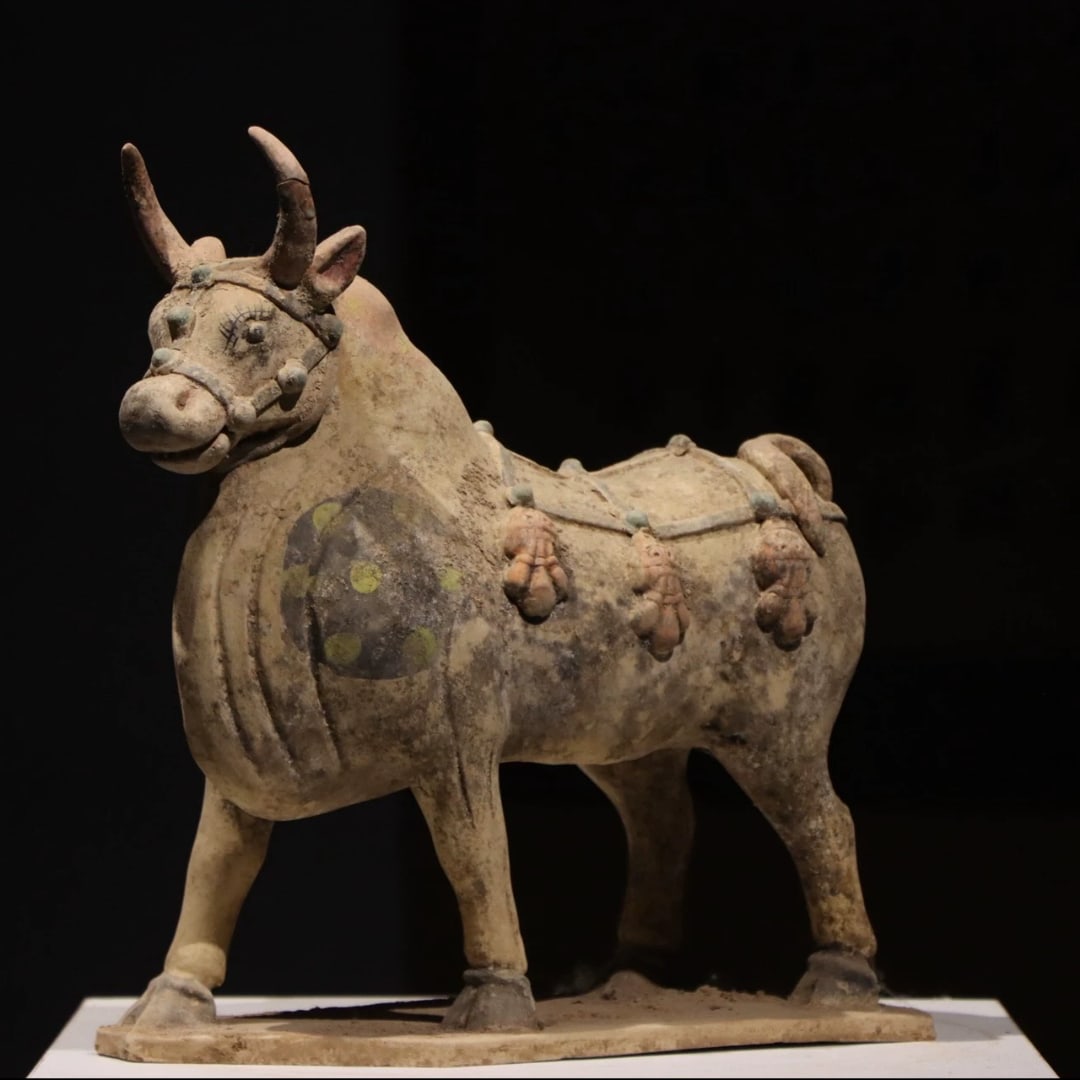 A painted pottery cow from the Han Dynasty (1 of 7)