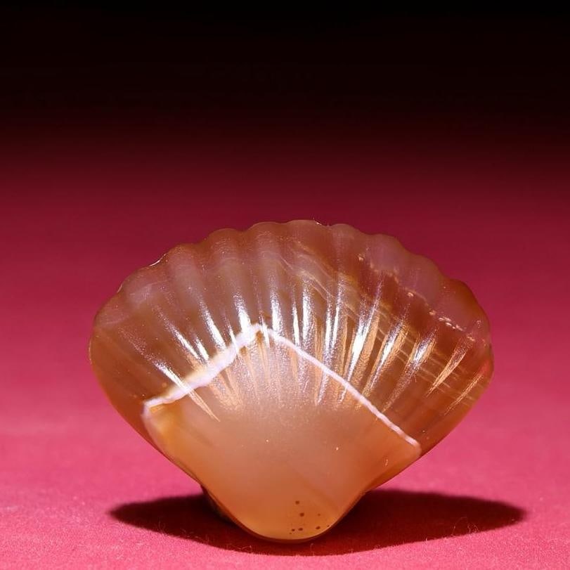 A beautiful agate shell pendant (1 of 7)