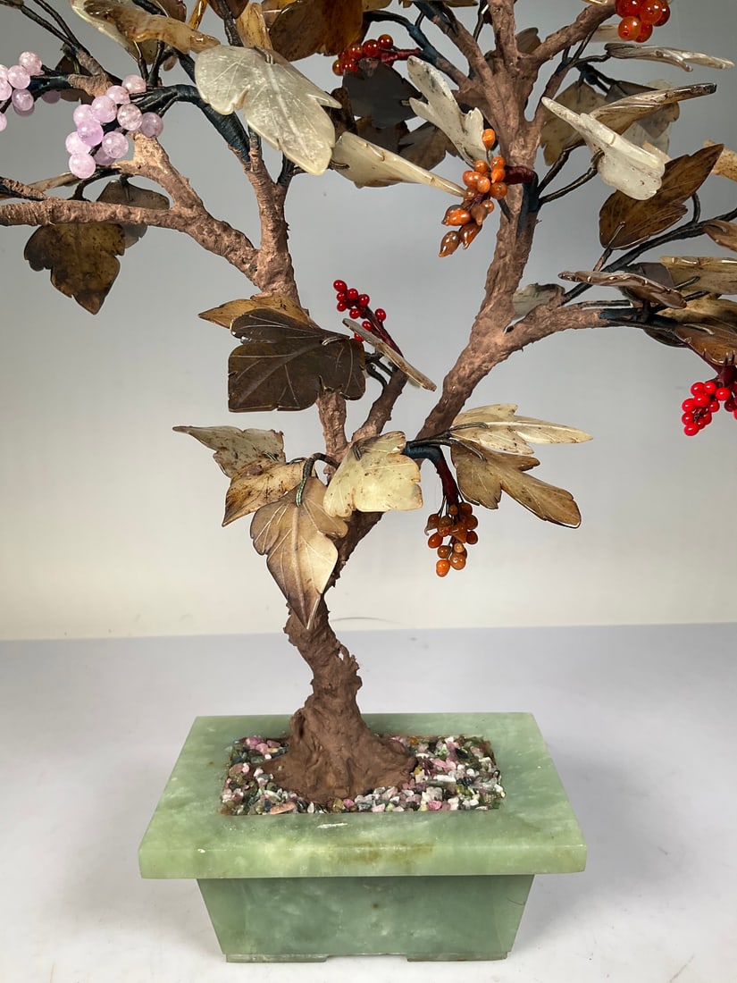 A beautiful jade bonsai - 5