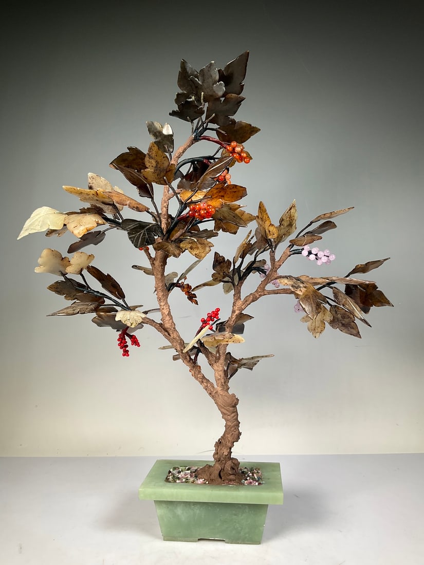 A beautiful jade bonsai - 7