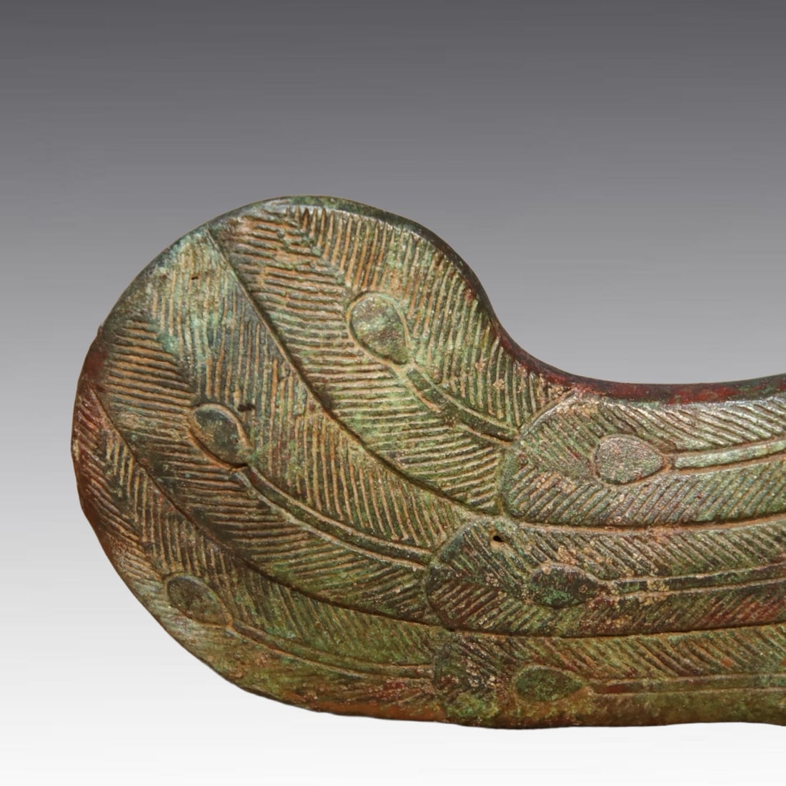 A beautiful bronze phoenix bird statue - 4