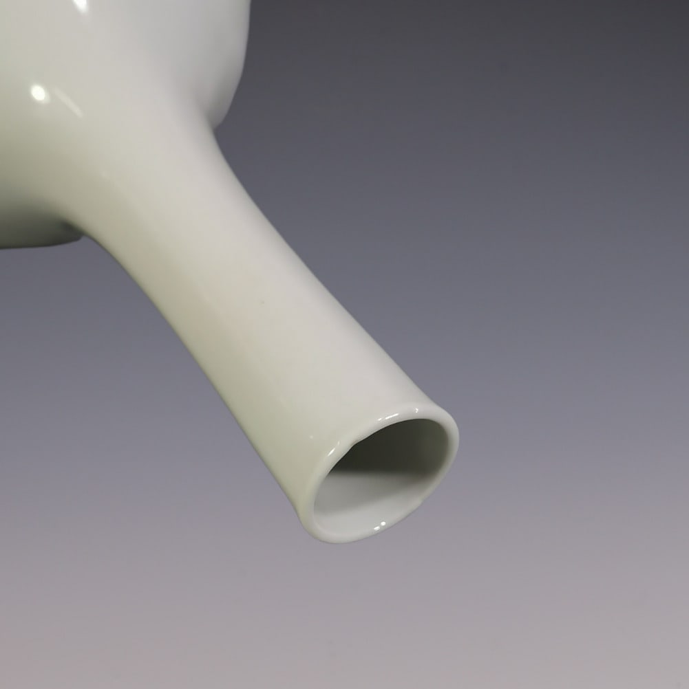 An Exquisite Blue and White Auspicious Beast Pattern Vase - 5