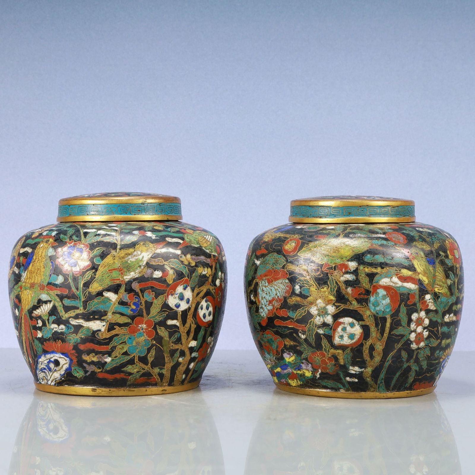 A Exquisite A pair of Cloisonne Flower and Bird Pattern Jar: A Exquisite A pair of Cloisonne Flower and Bird Pattern Jar Qing Dynasty, China Qianlong Four-character Mark Size:18.5cmx20cm Weight:4250g (The Dimensions Of All Batches Are Manually Measured.If