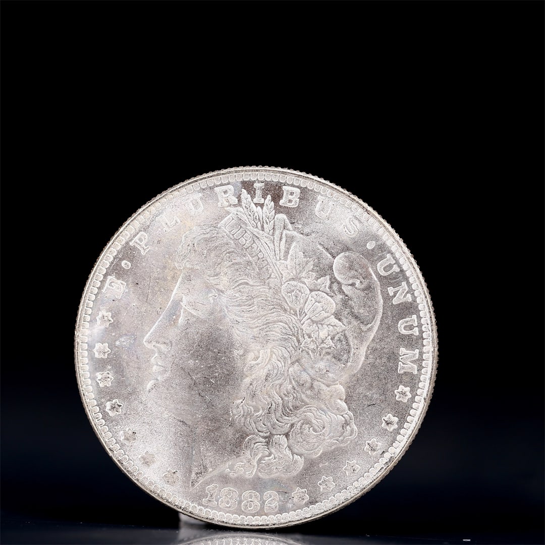 USA Morgan Dollar 1882 Coin: Obv: profile bust with date below and E PLURIBUS UNUM legend and stars around. Rev: eagle with In God we trust above within wreath with UNITED STATES OF AMERICA ONE DOLLAR legend. IN GOD WE TRUST /