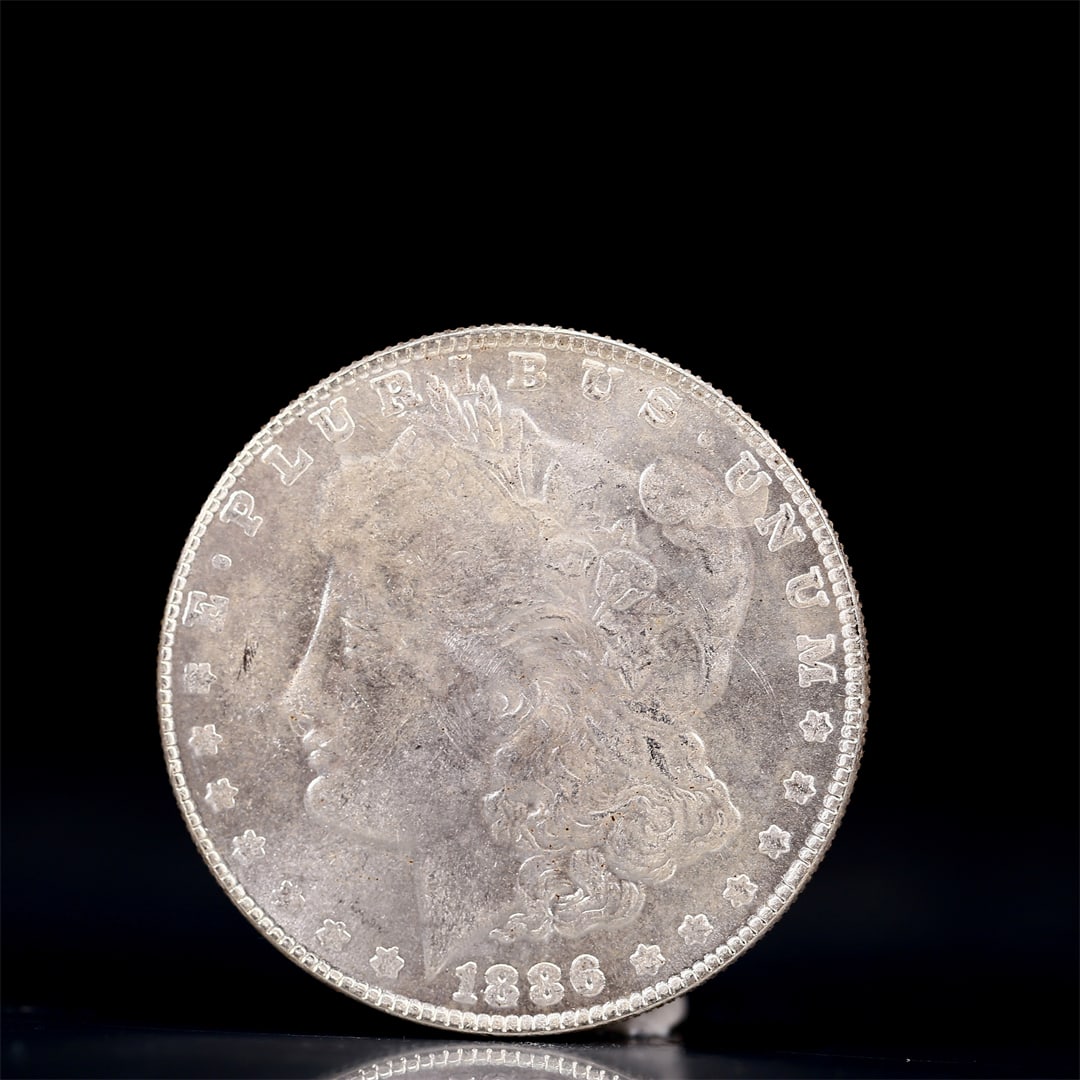 USA Morgan Dollar 1886 Coin: Obv: profile bust with date below and E PLURIBUS UNUM legend and stars around. Rev: eagle with In God we trust above within wreath with UNITED STATES OF AMERICA ONE DOLLAR legend. IN GOD WE TRUST / LI