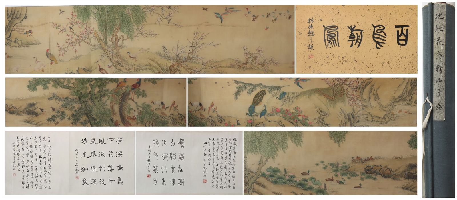 A Chinese Hand Scroll Ink Painting of Flower and Bird on Silk: A Chinese Hand Scroll Ink Painting of Flower and Bird on Silk Shen quan Size:732cmx38cm (The Dimensions Of All Batches Are Manually Measured.If You Need More Detailed Information, Please Contact
