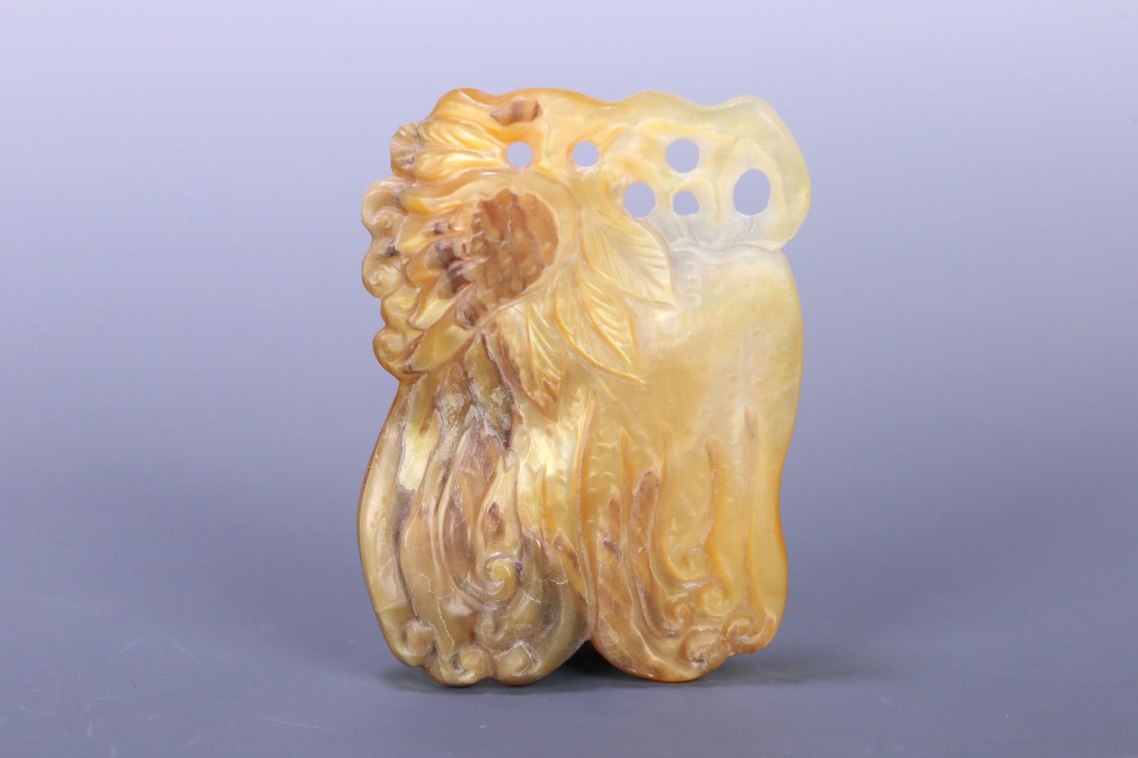 A beautiful snail Buddha hand - 2