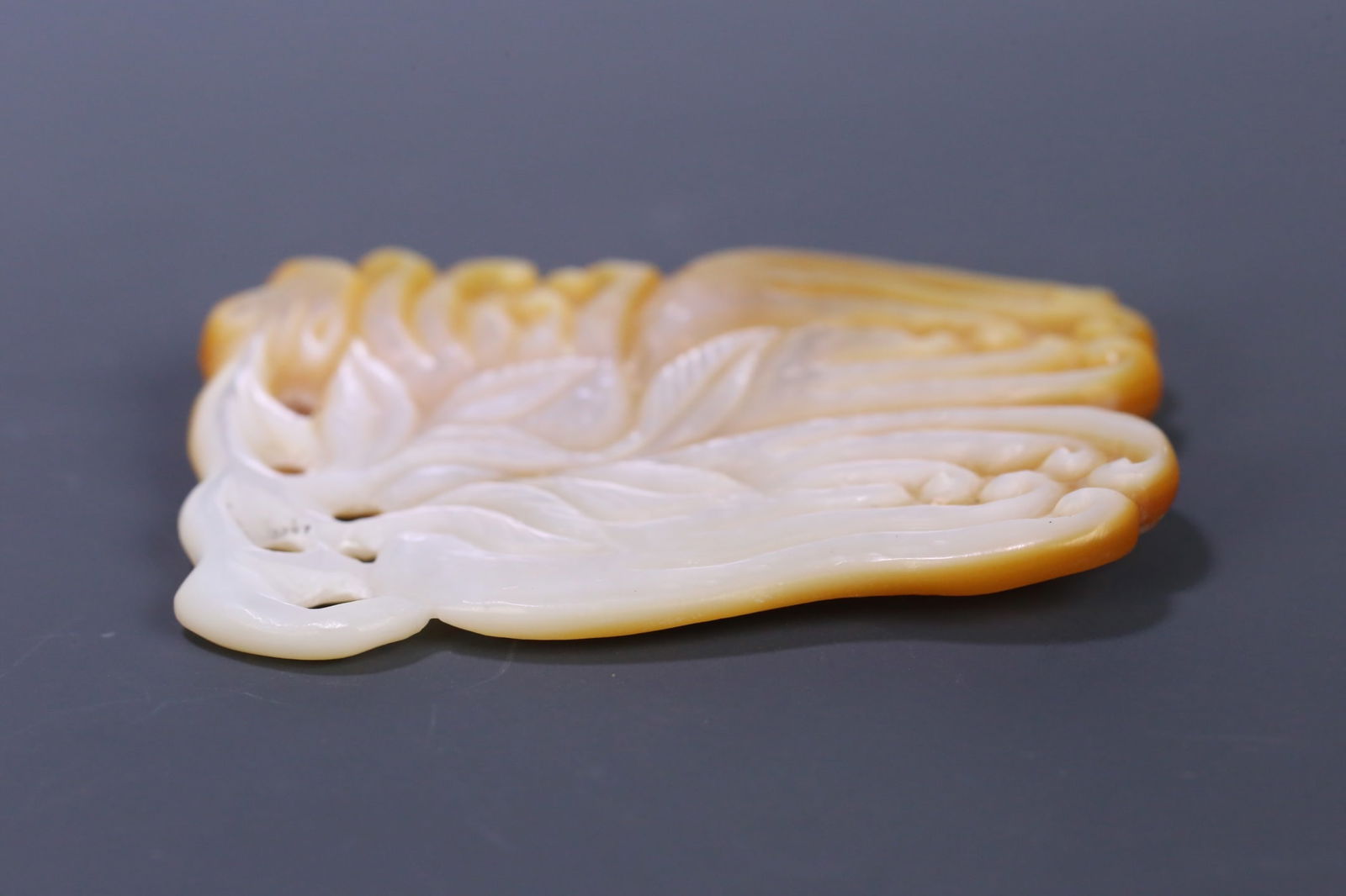 A beautiful snail Buddha hand - 3