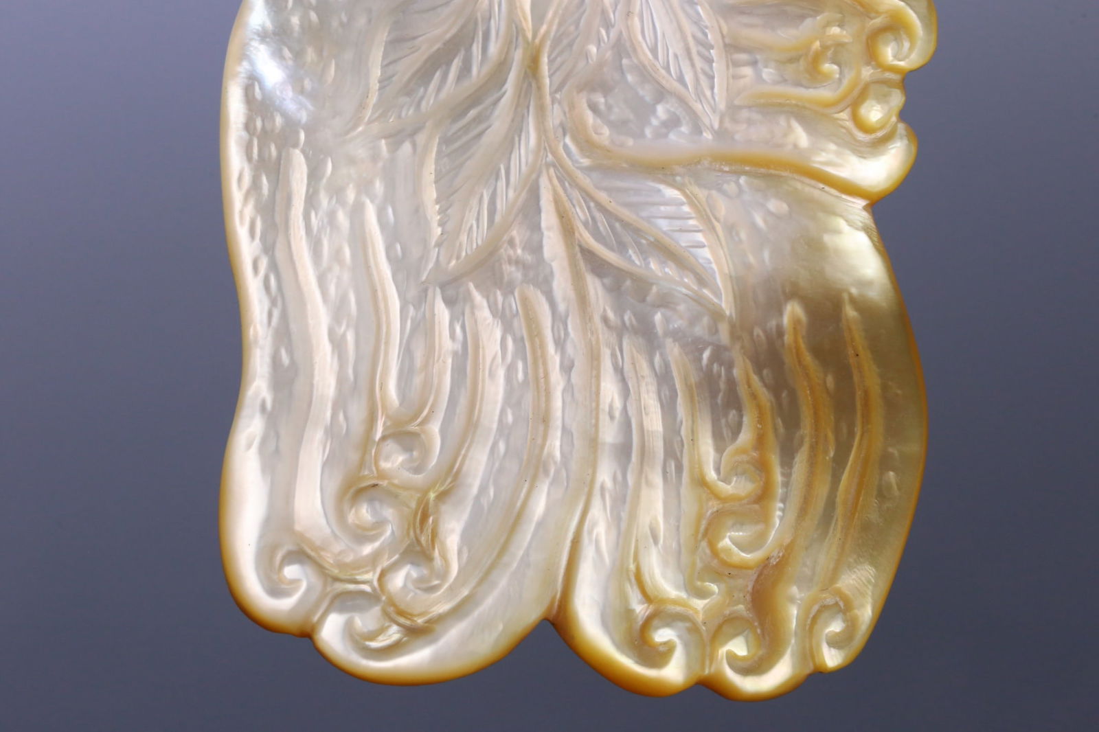 A beautiful snail Buddha hand - 5