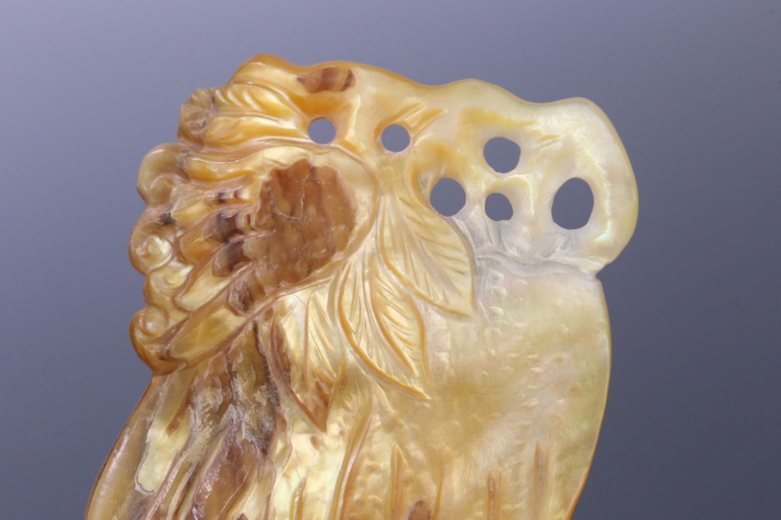 A beautiful snail Buddha hand - 6