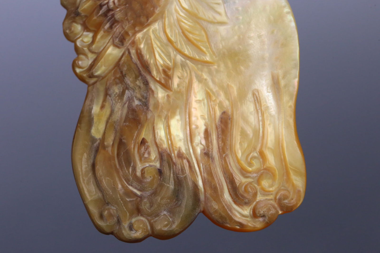 A beautiful snail Buddha hand - 7