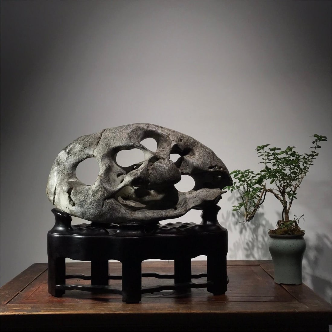 A piece of exquisite study Taihu Lake Shi Lingyun: Exquisite study Taihu Lake Shi Lingyun Size:L:47cmH:44cmT:18cm (The Dimensions Of All Batches Are Manually Measured.If You Need More Detailed Information, Please Contact Our