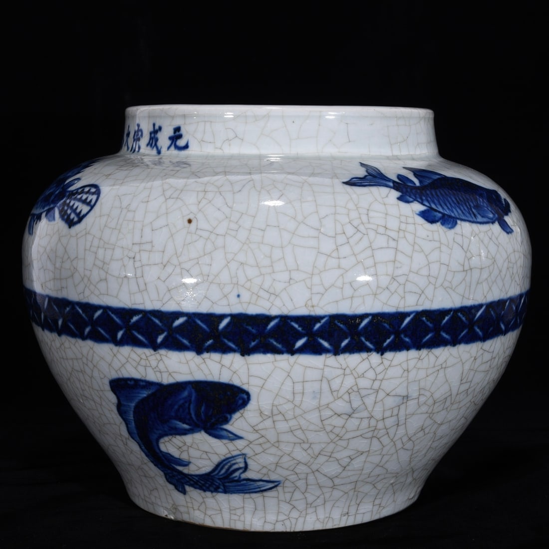 An Exquisite Blue and White Fish Pattern Jar - 2