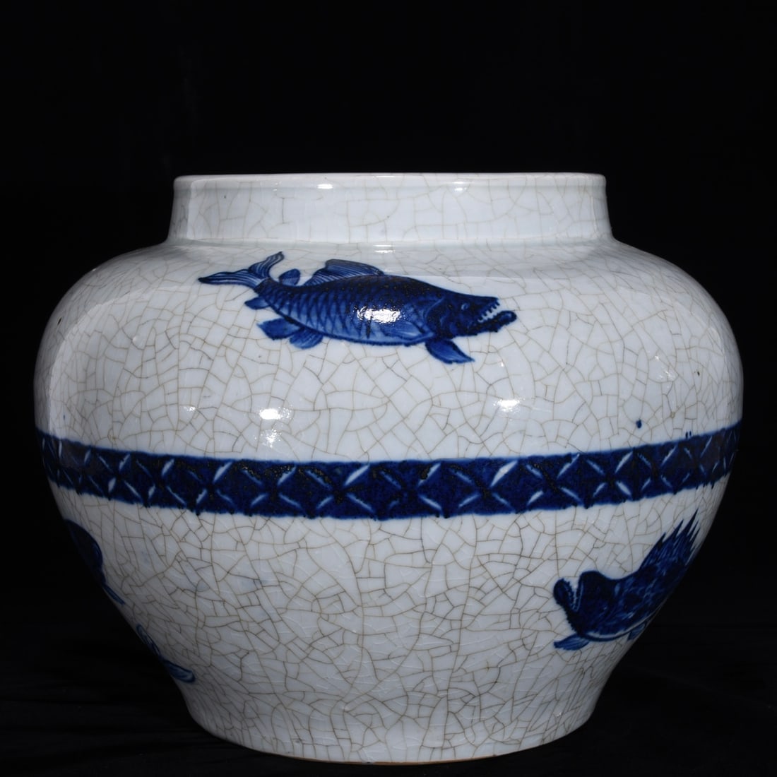 An Exquisite Blue and White Fish Pattern Jar - 3