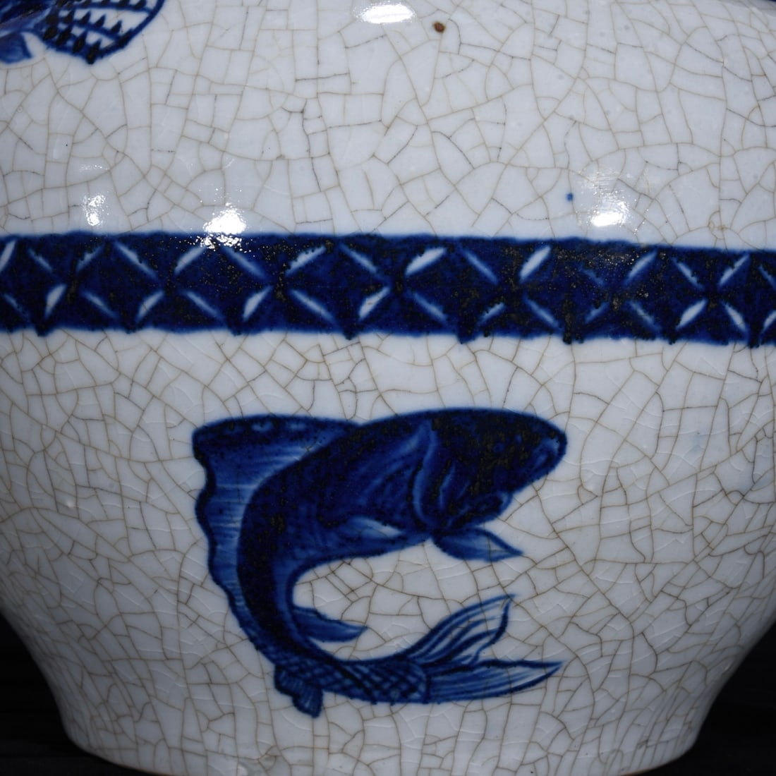 An Exquisite Blue and White Fish Pattern Jar - 7