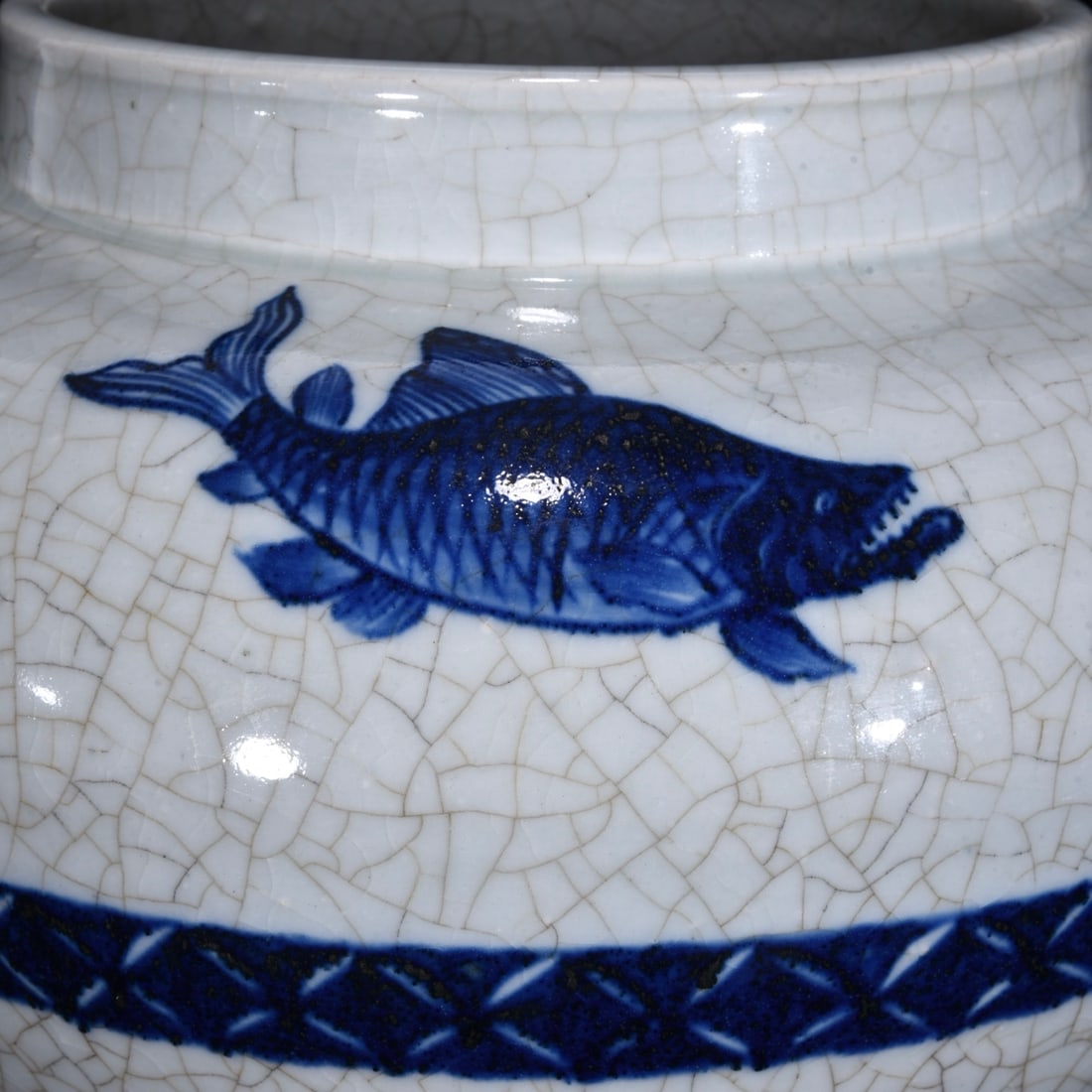 An Exquisite Blue and White Fish Pattern Jar - 8