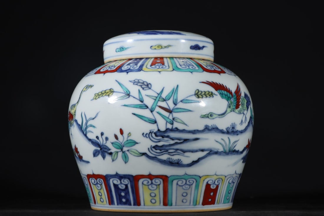 An Exquisite Doucai Flower and Bird Pattern Jar - 5
