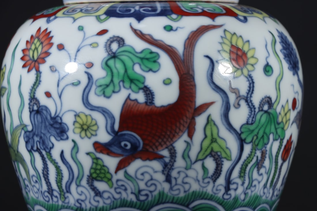 An Exquisite Doucai Fish and Lotus Pattern Jar - 6