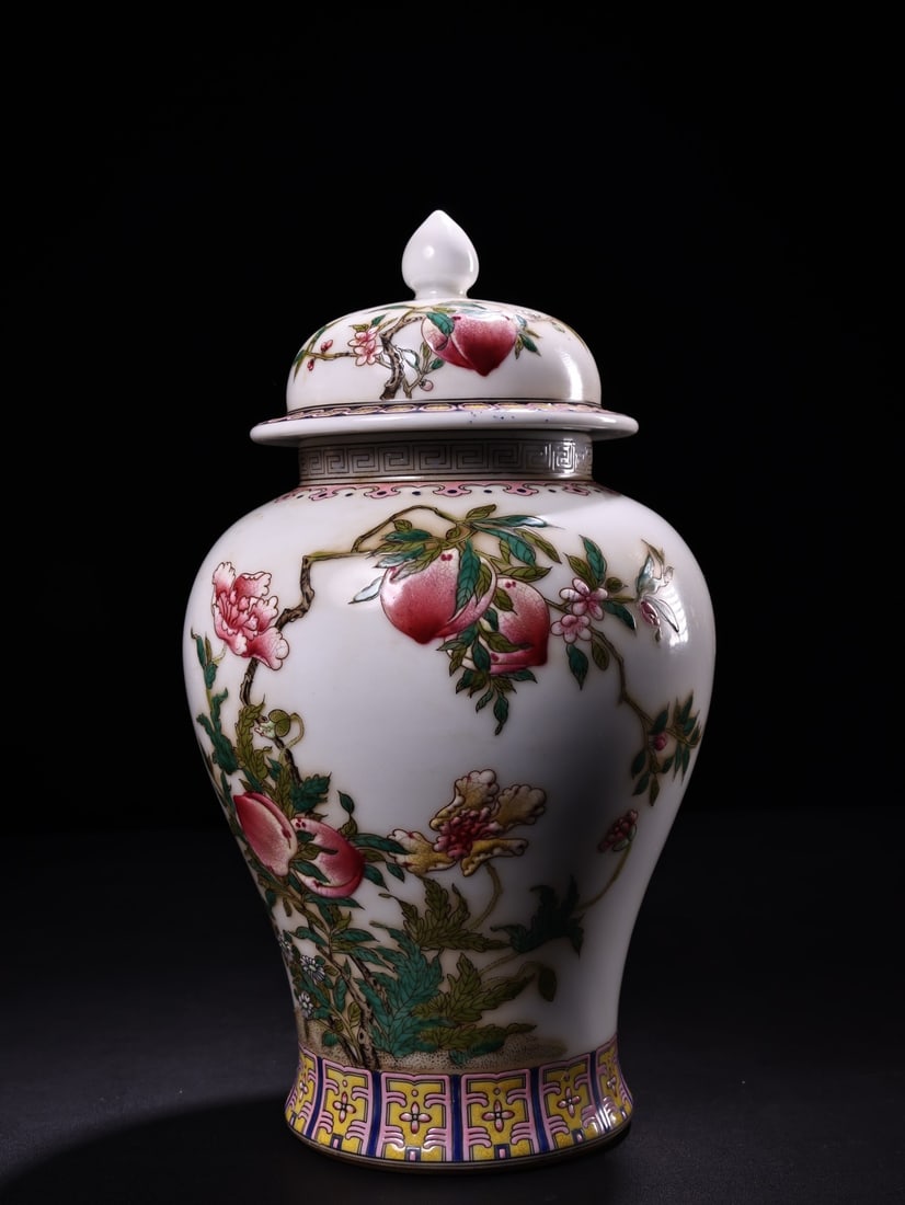 A pure hand-painted pastel general jar from the Qing Dynasty court collection (1 of 9)