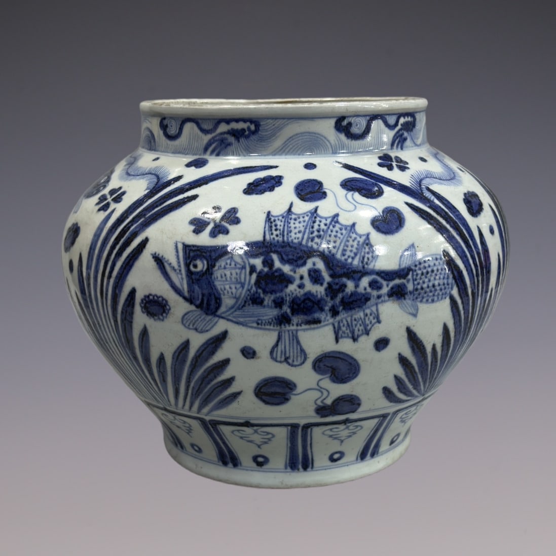 An Exquisite Blue and White Fish and Lotus Pattern Jar: An Exquisite Blue and White Fish and Lotus Pattern Jar Yuan Dynasty, China Size:29cm (The Dimensions Of All Batches Are Manually Measured.If You Need More Detailed Information, Please Contact Our