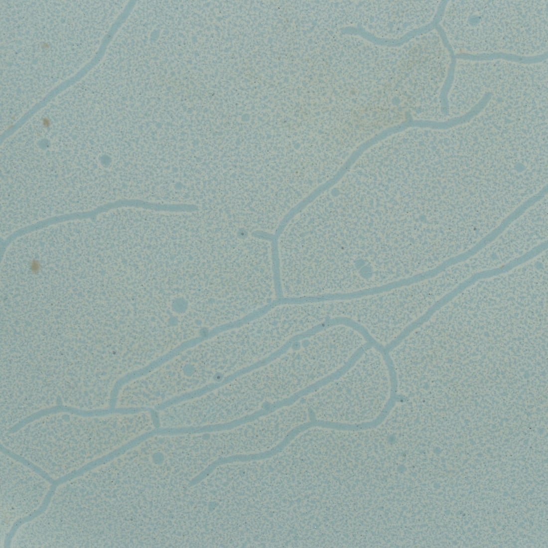 An Exquisite Jun yao Tripod Brush Washer - 6