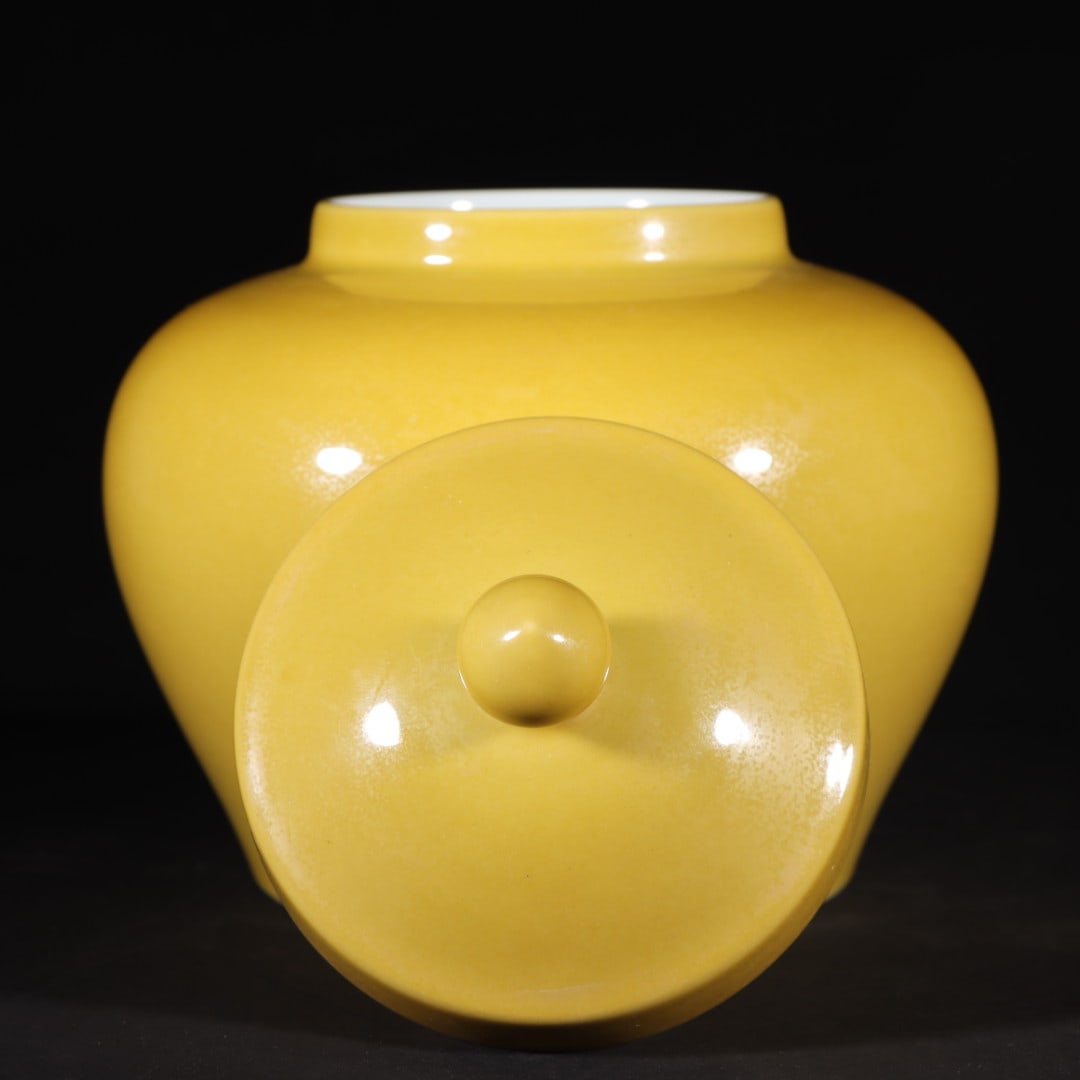An ExquisiteA pair ofYellow Glazed Jar - 6
