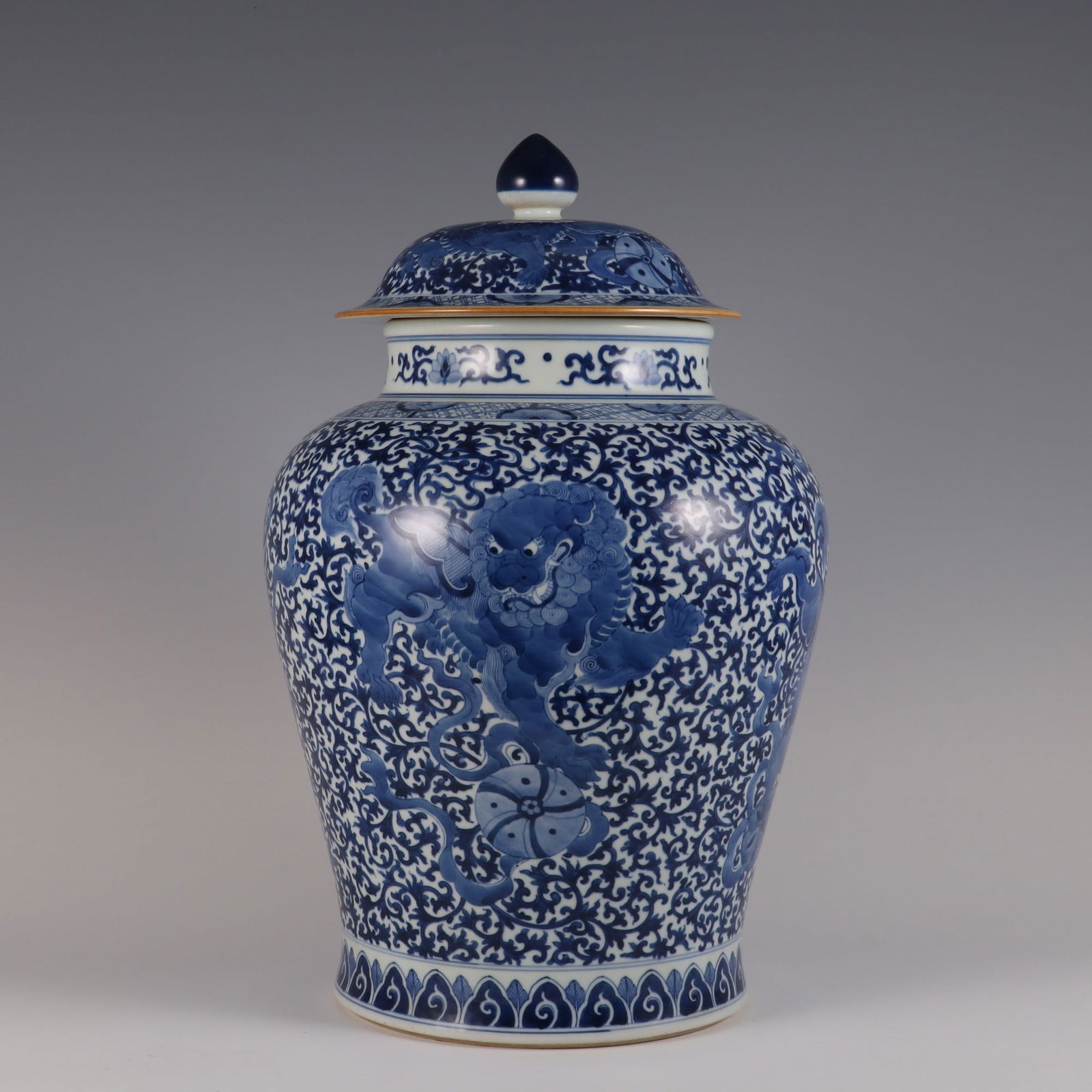 An Exquisite Blue and White Lion Pattern Lotus Pattern Jar: An Exquisite Blue and White Lion Pattern Lotus Pattern Jar Qing Dynasty, China Kangxi Six-character Mark Size:42cmx25.5cm (The Dimensions Of All Batches Are Manually Measured.If You Need More