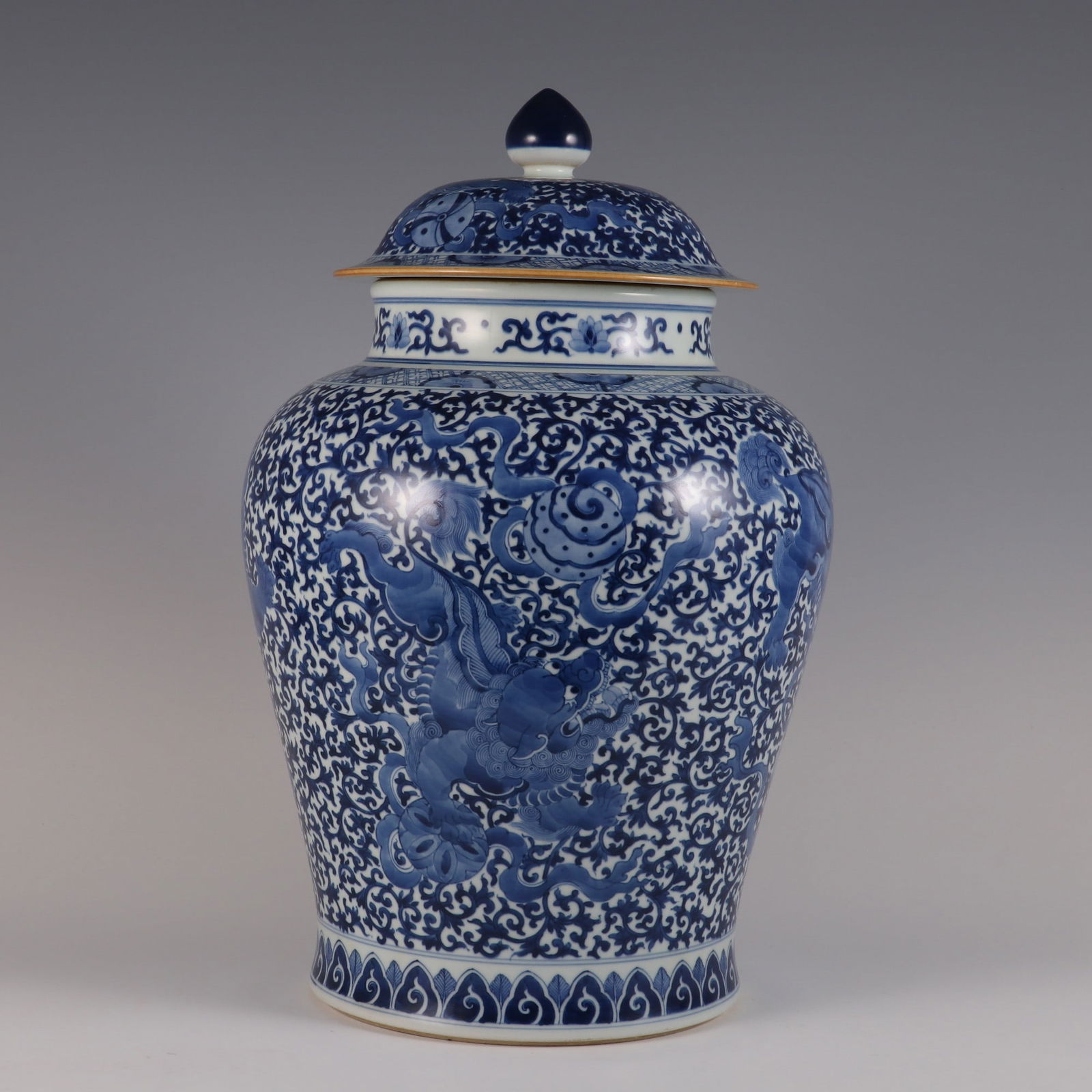 An Exquisite Blue and White Lion Pattern Lotus Pattern Jar - 2