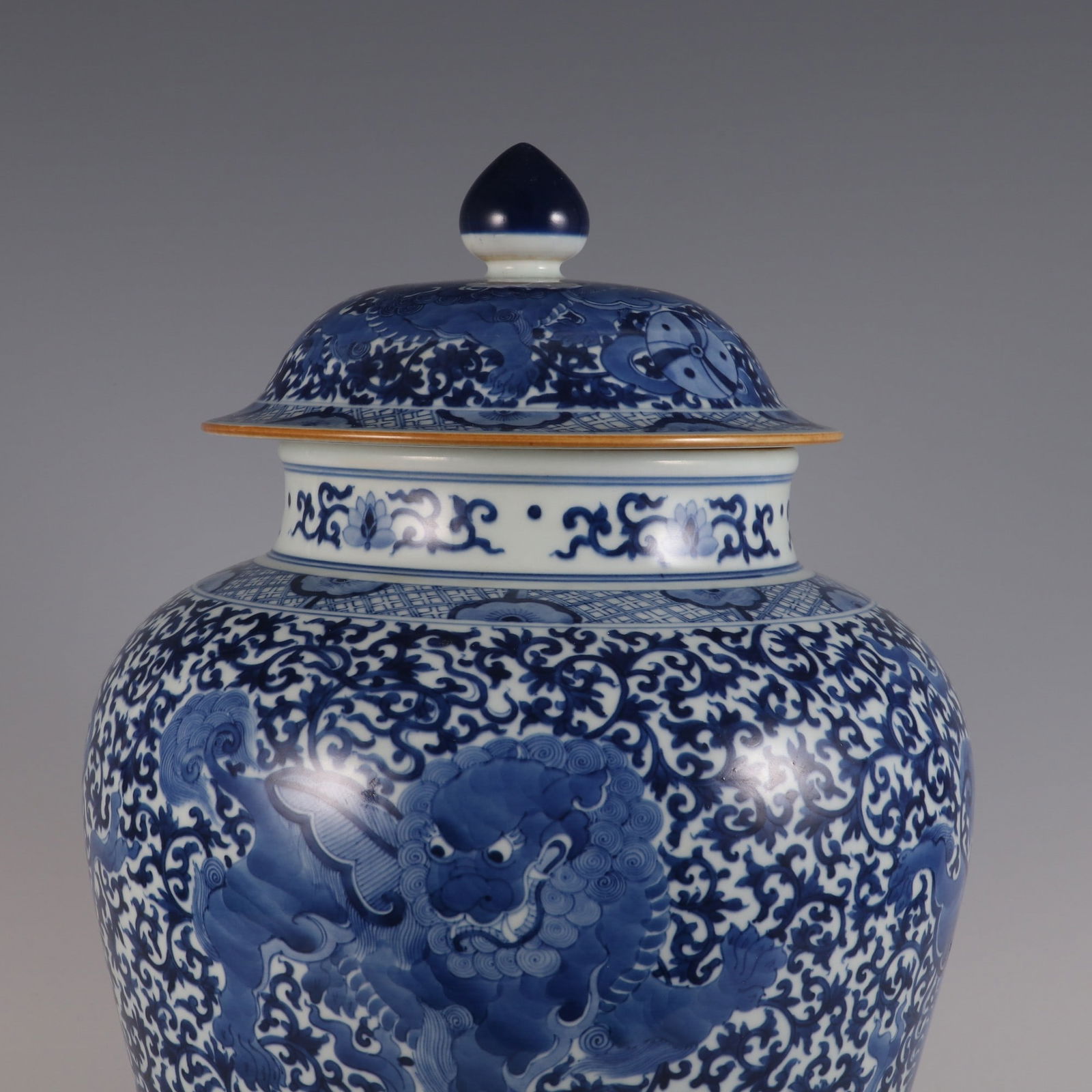 An Exquisite Blue and White Lion Pattern Lotus Pattern Jar - 3
