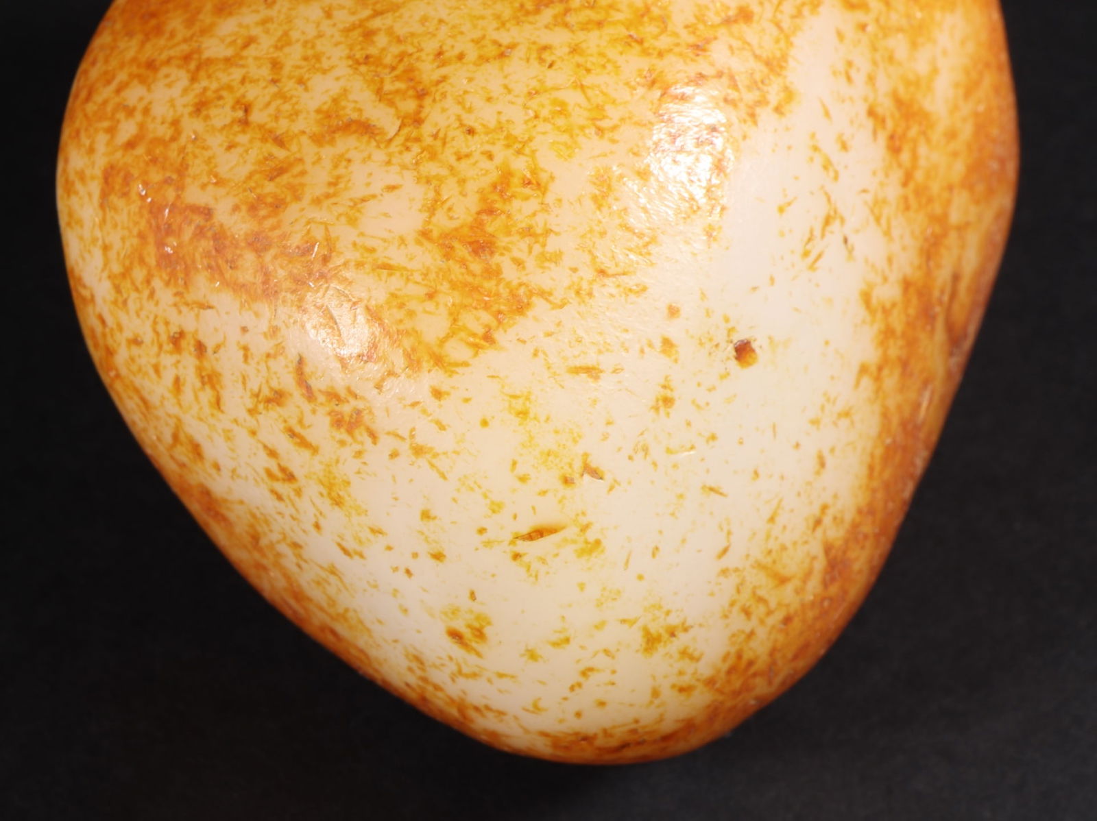 An Exquisite White Jade Ornament - 8