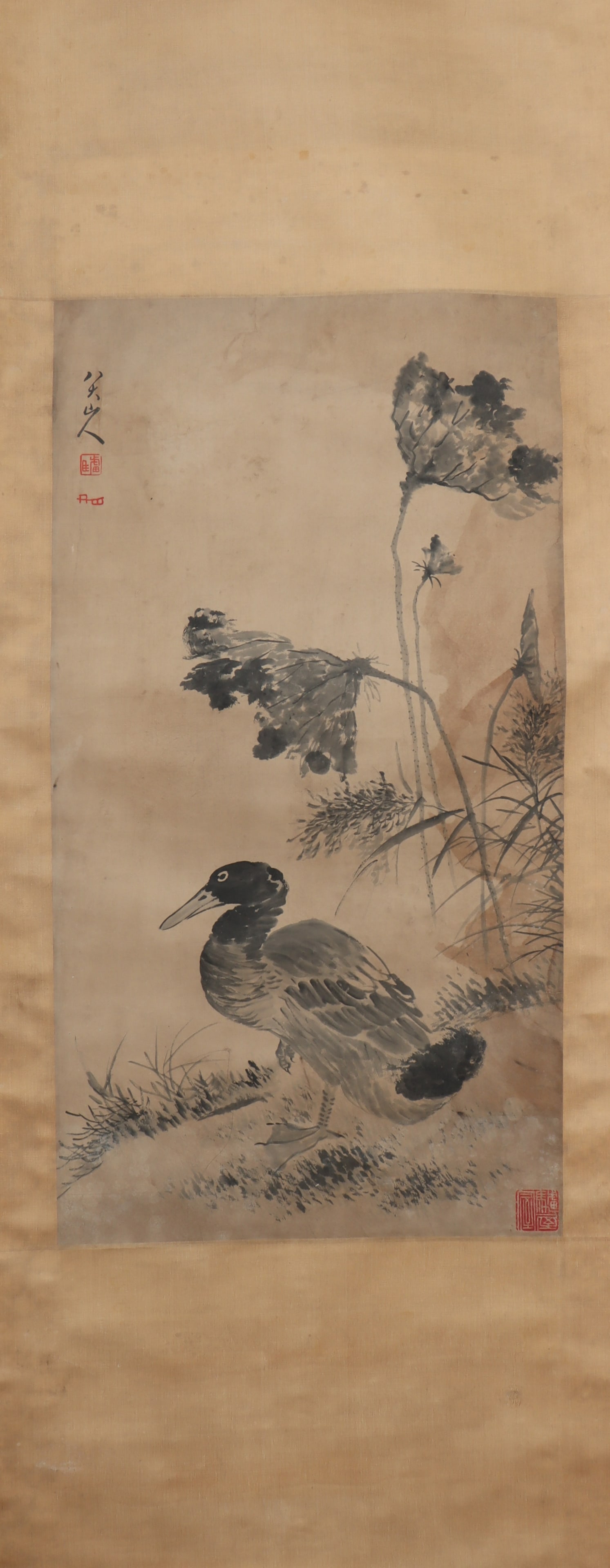 A Chinese Vertical Scroll Ink Painting of Flower and Bird on Paper: A Chinese Vertical Scroll Ink Painting of Flower and Bird on Paper Ba dashanren Size:93cmx50cm (The Dimensions Of All Batches Are Manually Measured.If You Need More Detailed Information, Please
