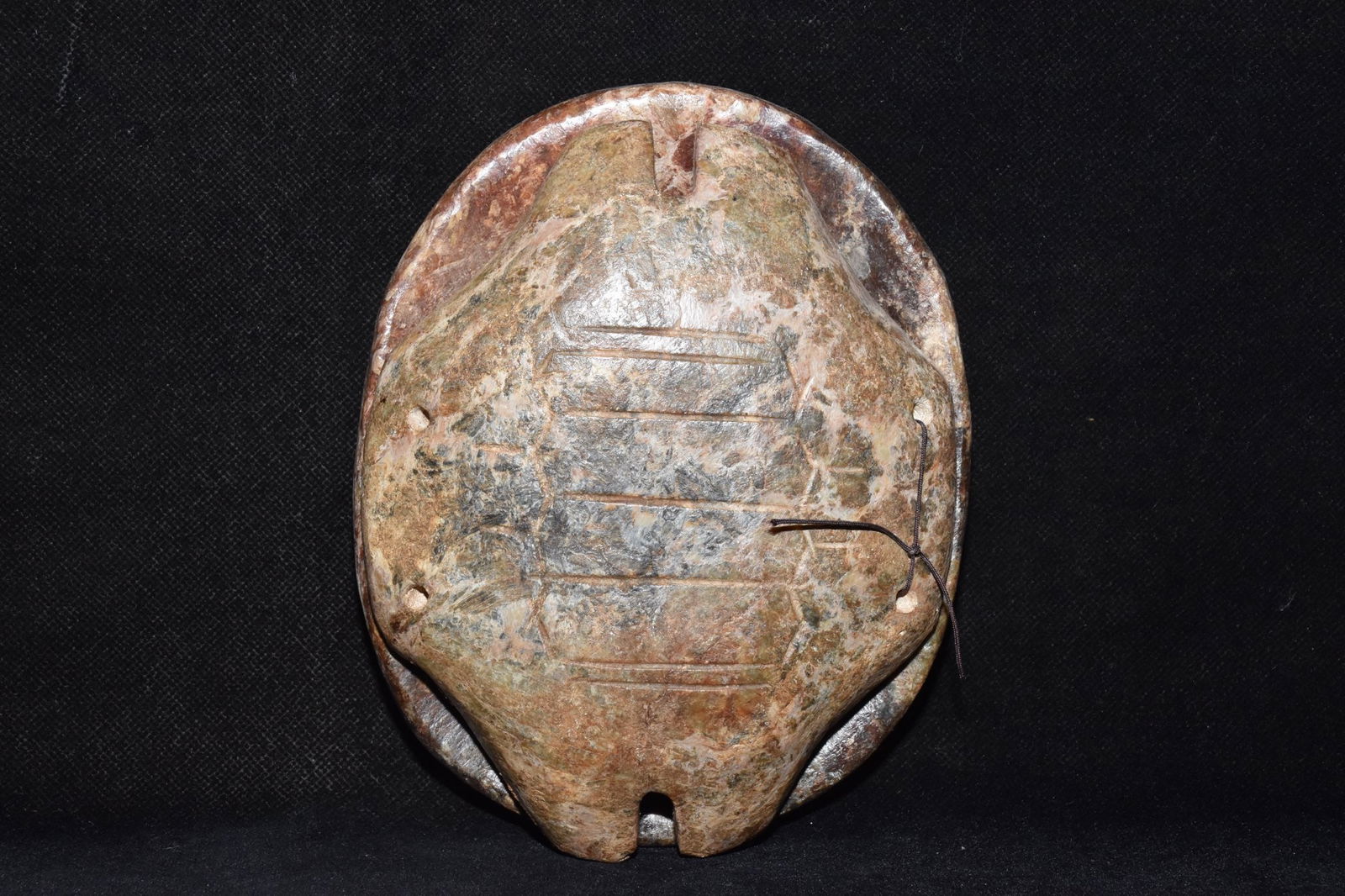 An Exquisite Hemo Jade Tortoise shell Ornament - 2