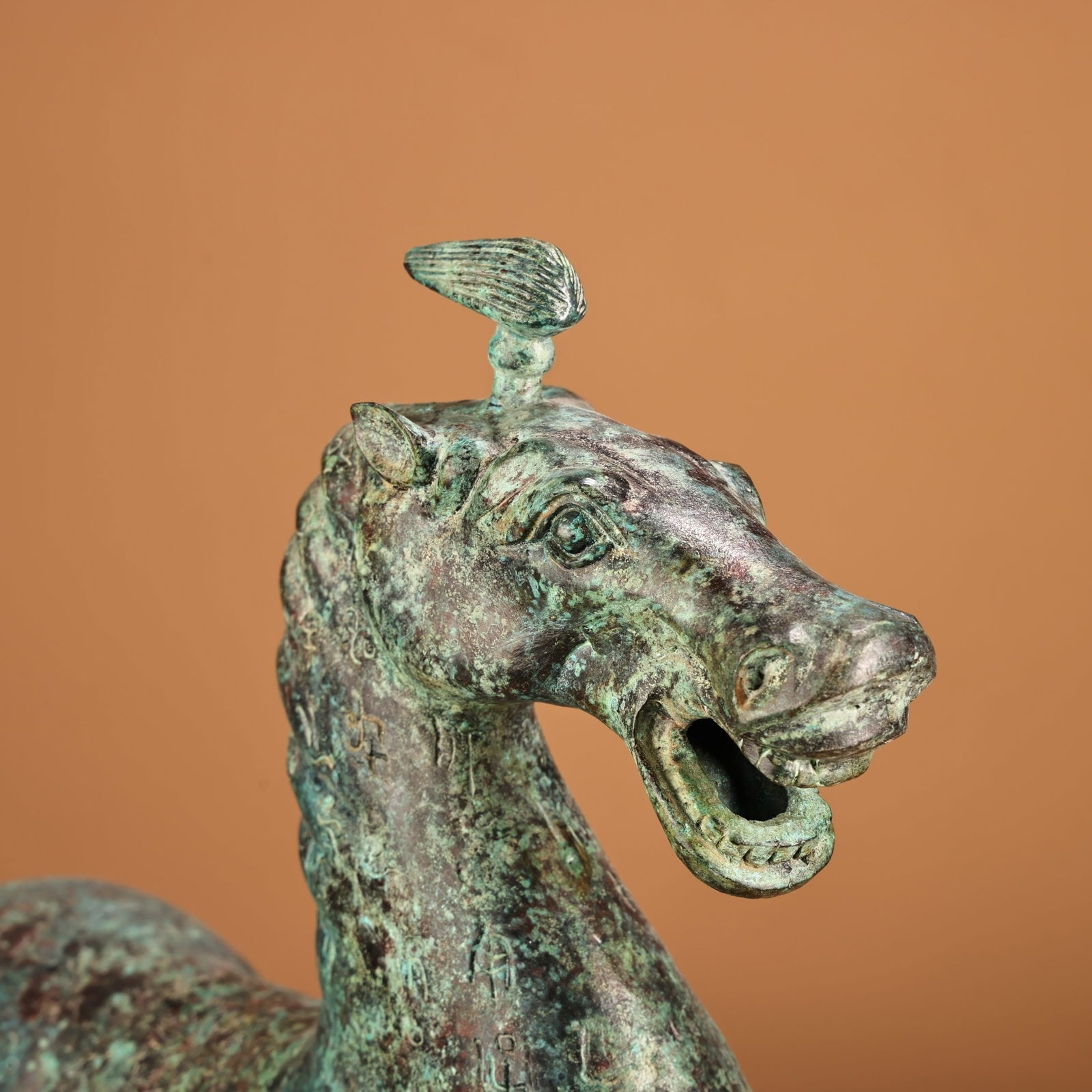 A beautiful bronze horse stepping on a flying swallow - 12